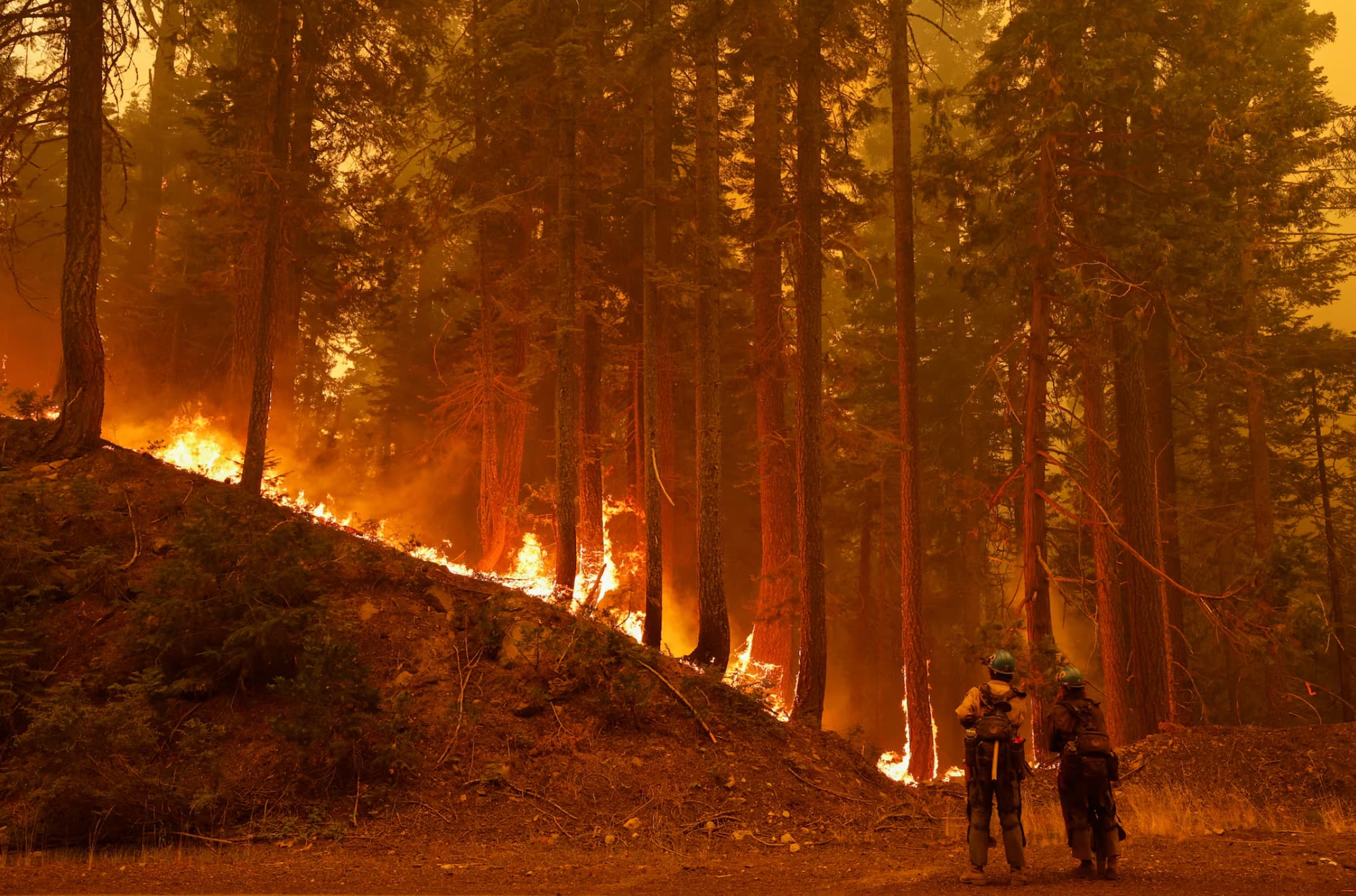 28 Disastrous Photos of the California Wildfires